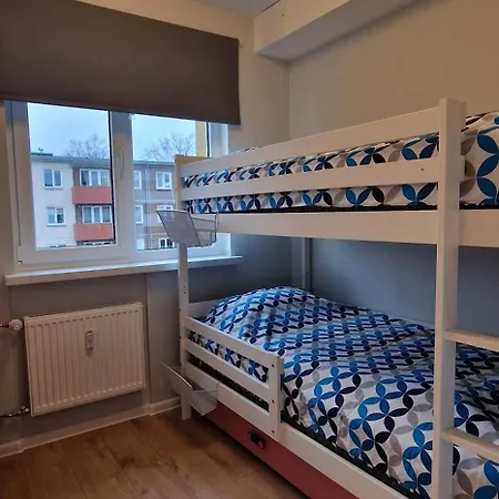 Comfortable Gerbera * Таллин