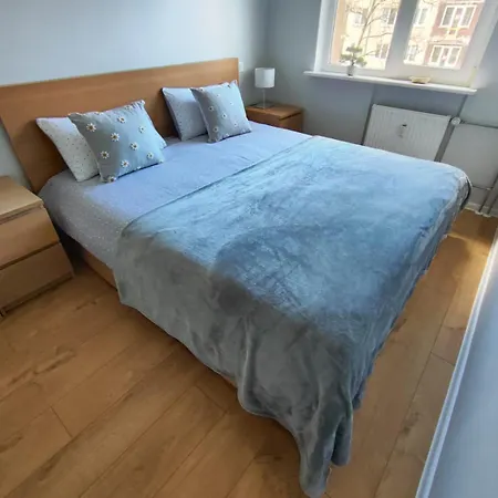 Appartamento Comfortable Gerbera *