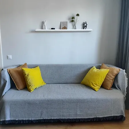 Comfortable Gerbera טאלין