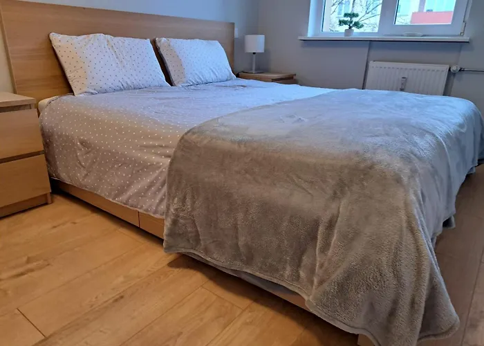 Apartman Comfortable Gerbera *