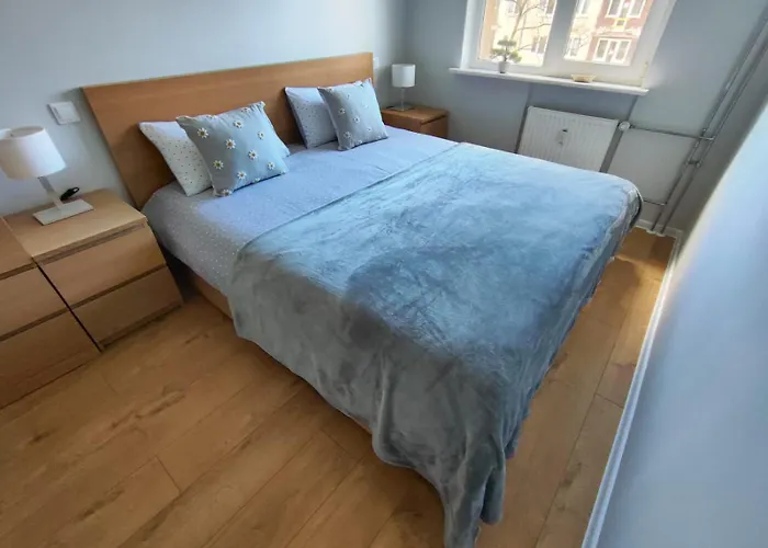 Apartman Comfortable Gerbera *