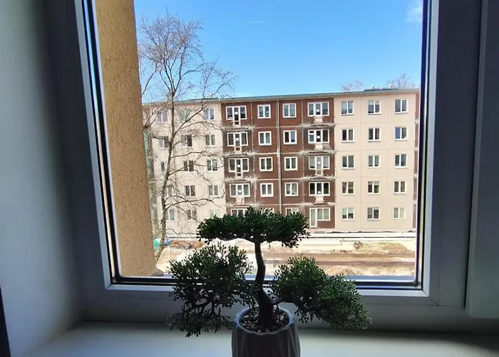 Comfortable Gerbera Apartman Tallinn