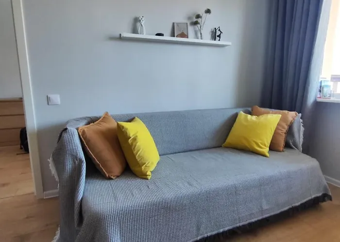 Comfortable Gerbera טאלין