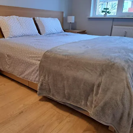 Appartement Comfortable Gerbera *