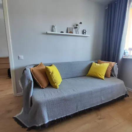 Comfortable Gerbera Tallinn