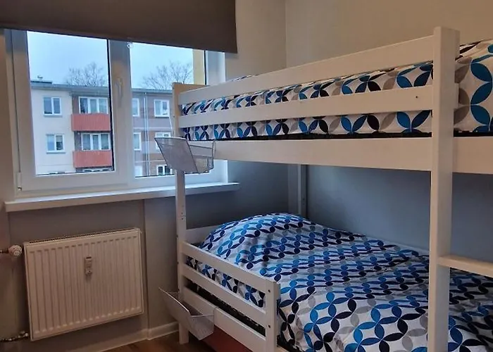 Comfortable Gerbera * Tallinn